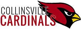 District Logo